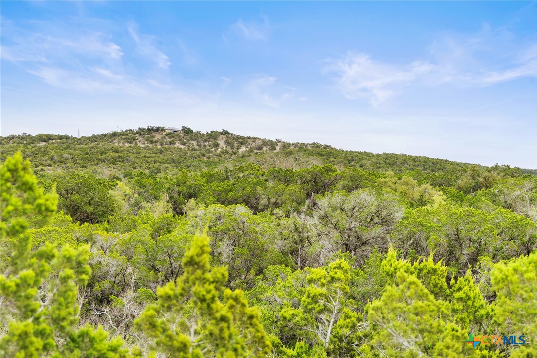 1398 Myers Creek Road Property Photo 36
