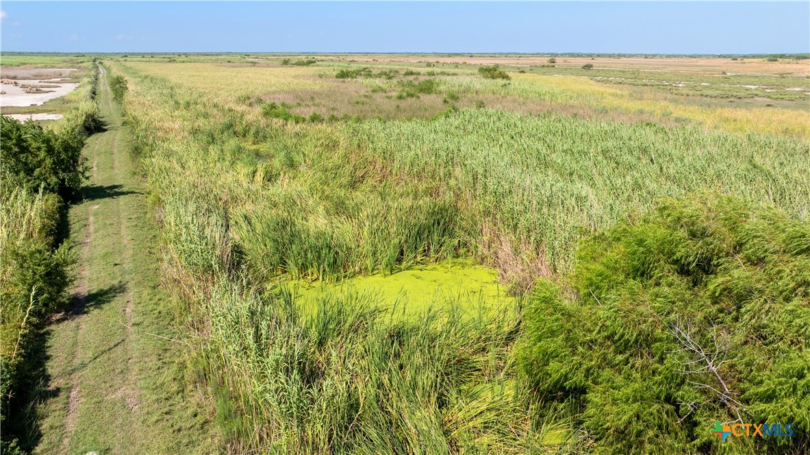 000 Big Dukes Ranch Property Photo 34