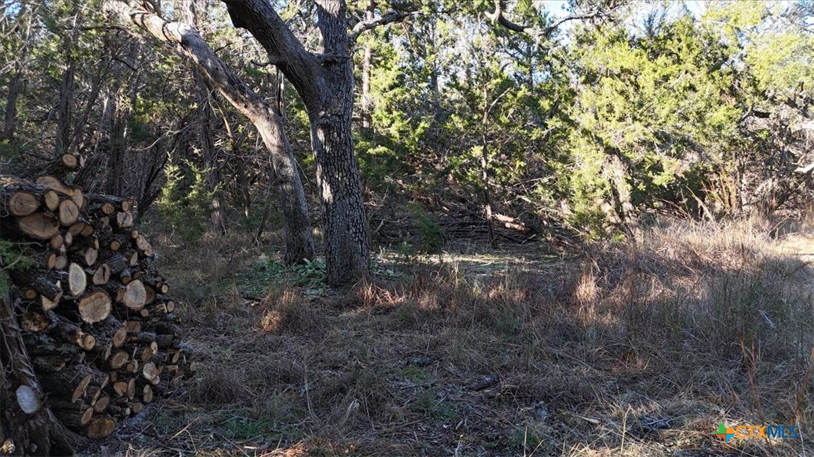 1800 S Rainbow Ranch Road Property Photo 5