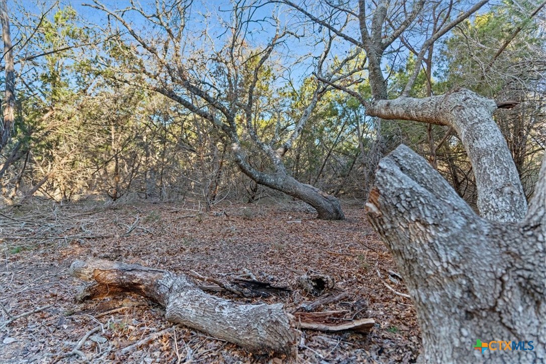 1800 S Rainbow Ranch Road Property Photo 8