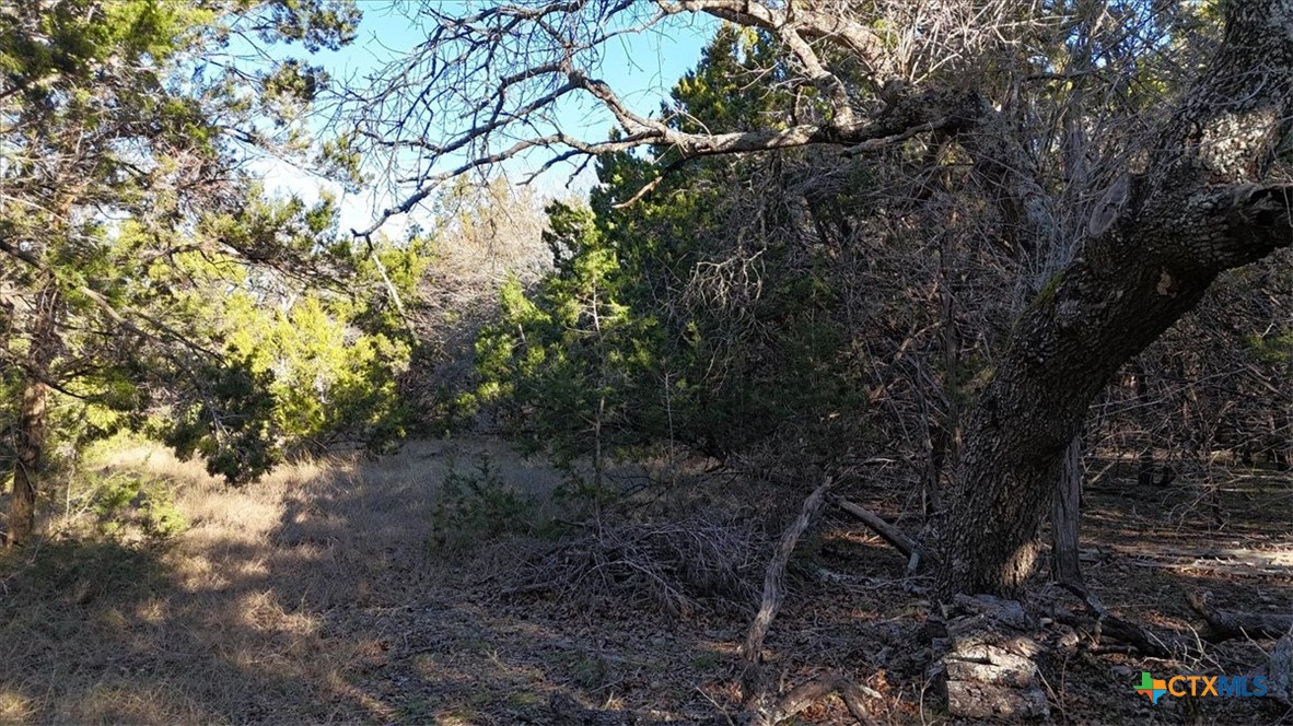 1800 S Rainbow Ranch Road Property Photo 13