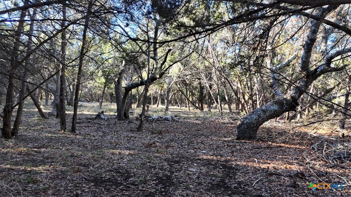 1800 S Rainbow Ranch Road Property Photo 15