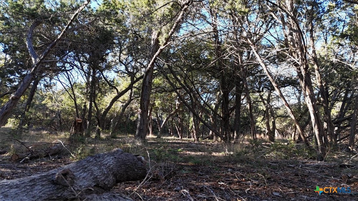 1800 S Rainbow Ranch Road Property Photo 16