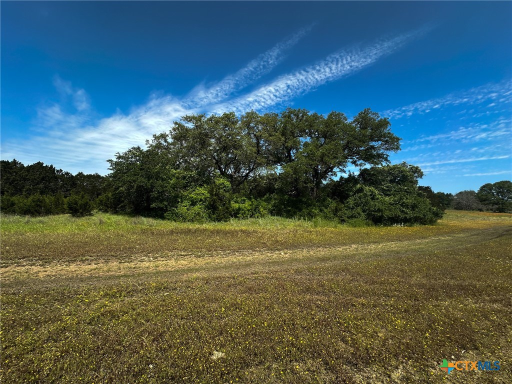 Tbd Cr 245 Property Photo 4