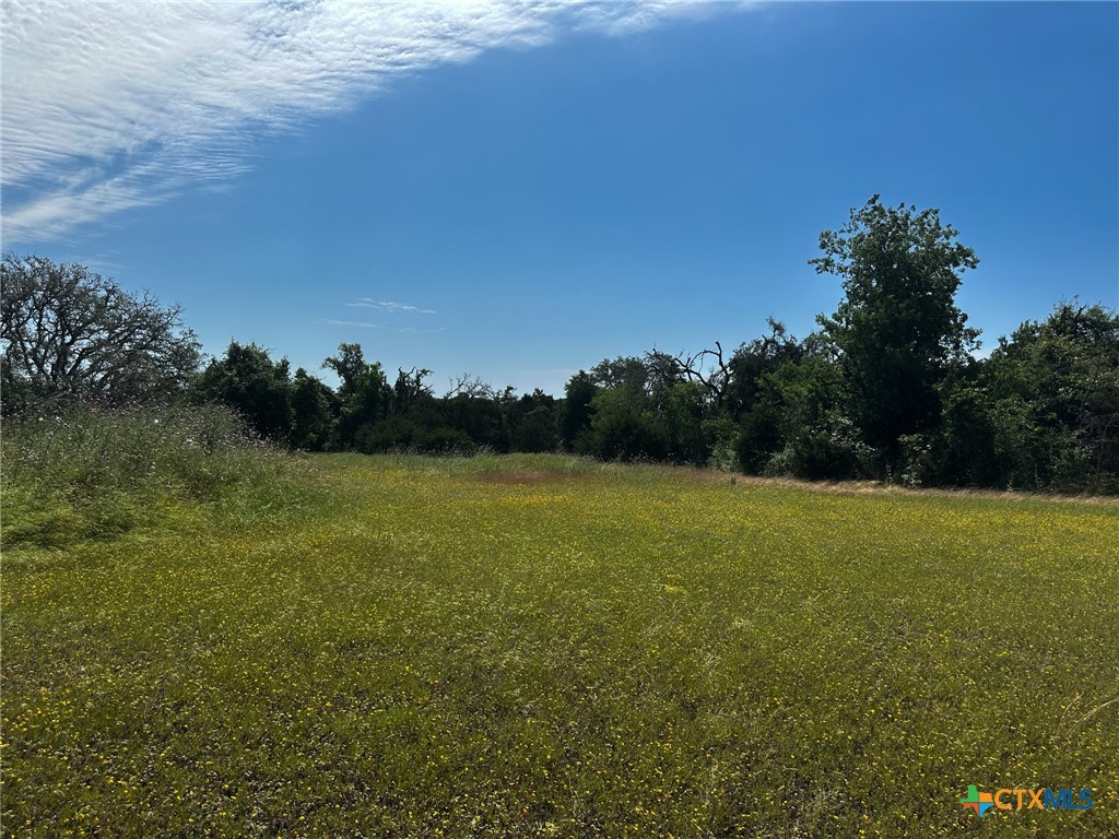 Tbd Cr 245 Property Photo 5