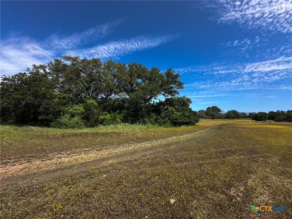 Tbd Cr 245 Property Photo 8