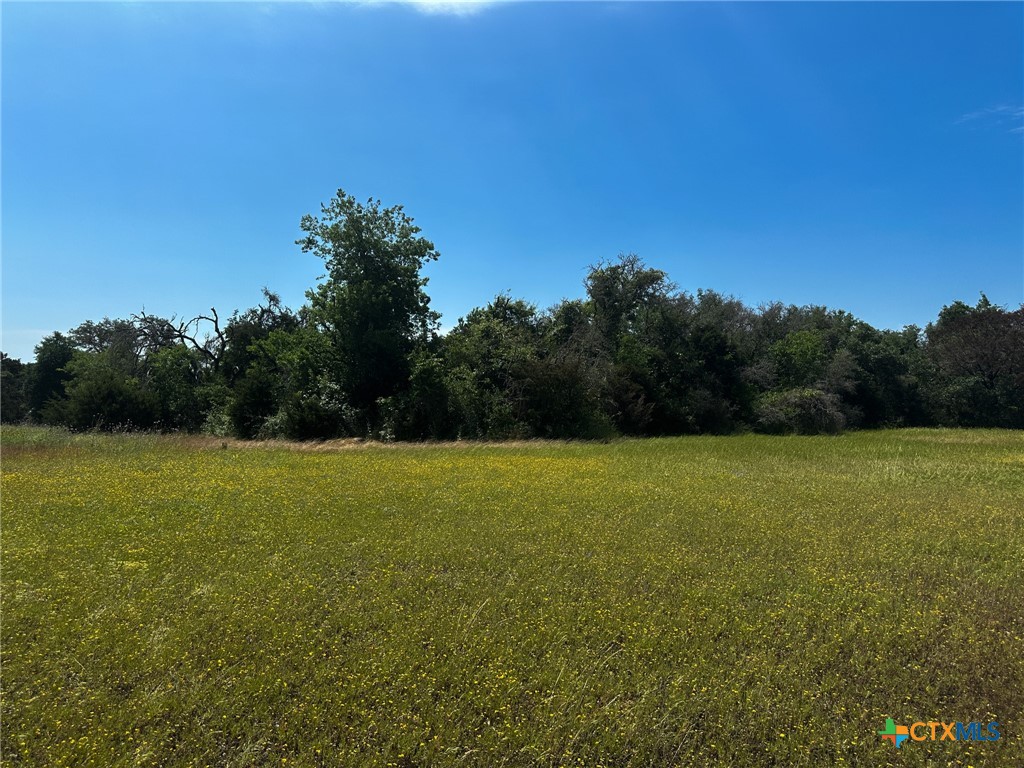 Tbd Cr 245 Property Photo 9