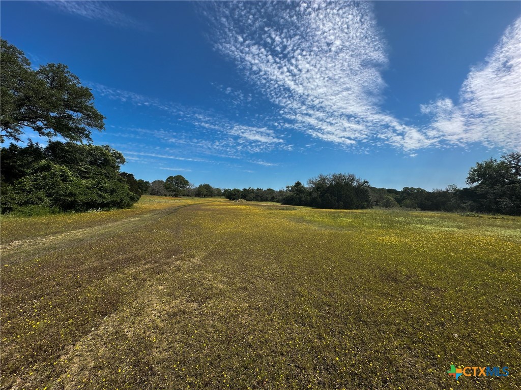 Tbd Cr 245 Property Photo 10