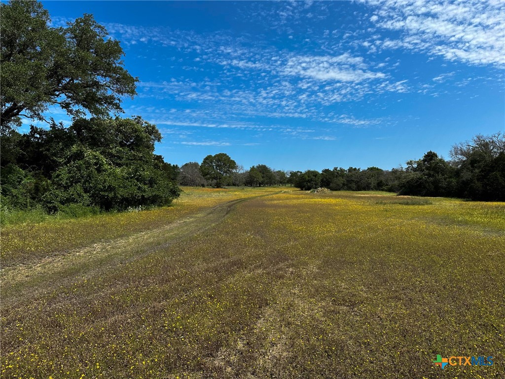Tbd Cr 245 Property Photo 12