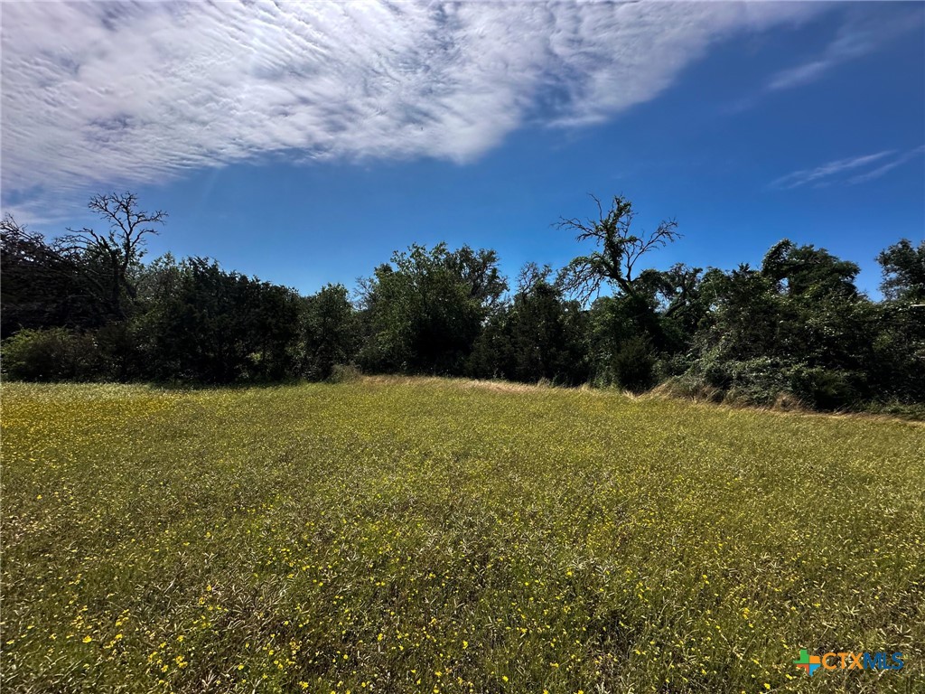 Tbd Cr 245 Property Photo 13