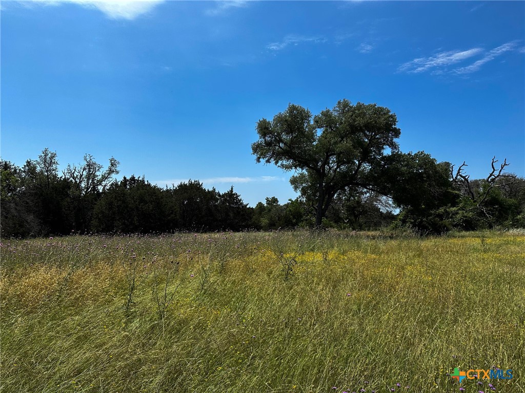 Tbd Cr 245 Property Photo 14