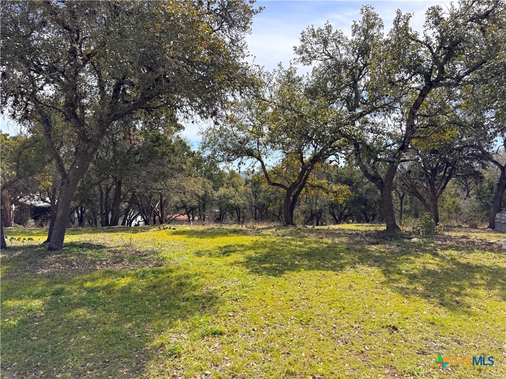 2184 Grandview Forest Property Photo 1