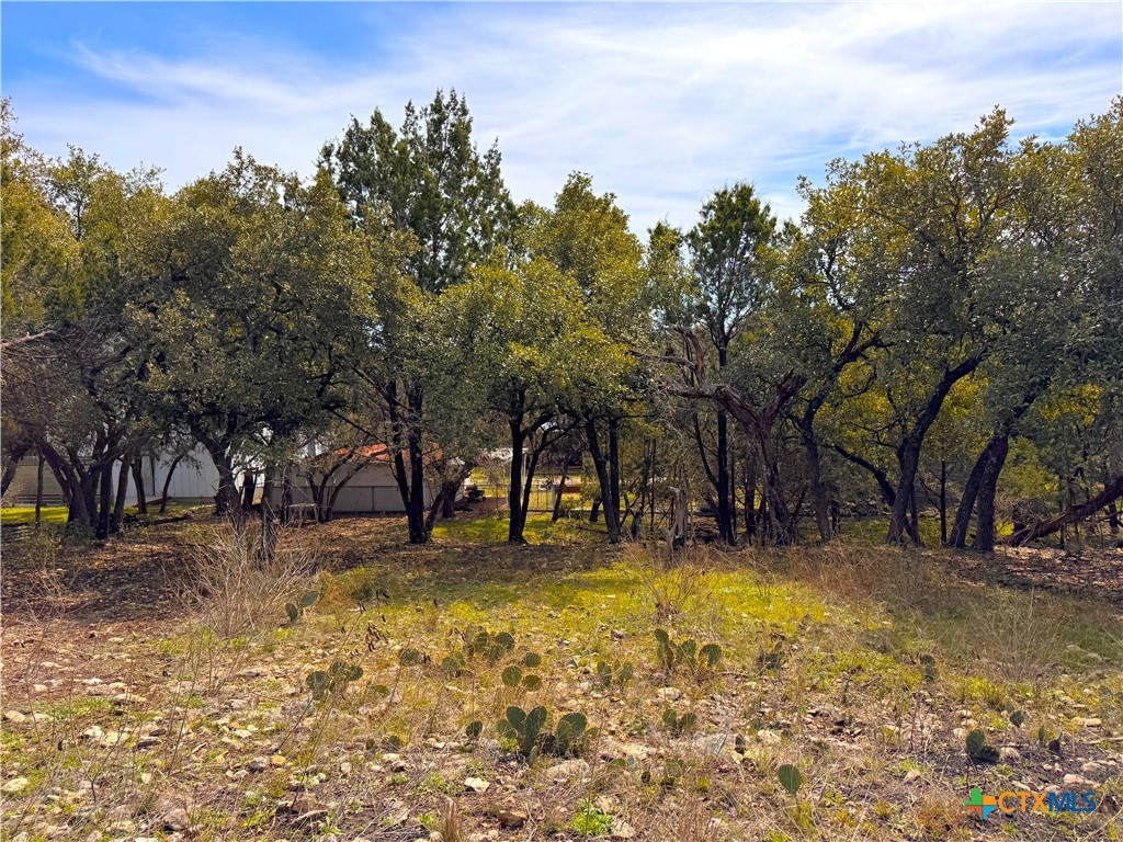 2184 Grandview Forest Property Photo 2