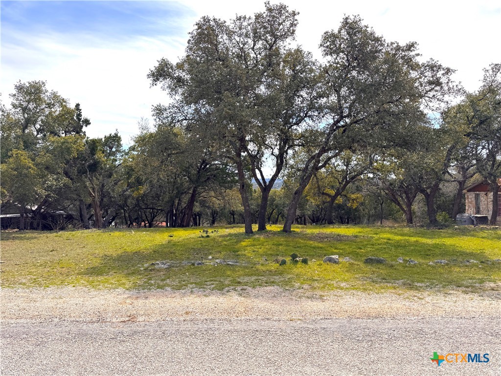 2184 Grandview Forest Property Photo 4