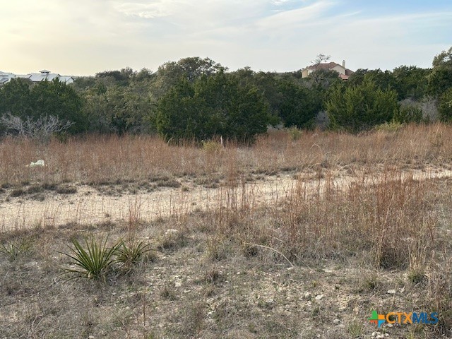 145 Finch Place Property Photo 5