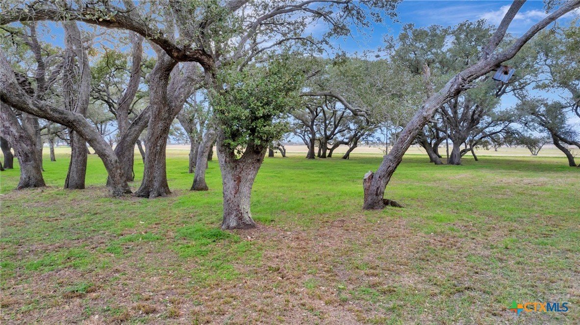 4536 S Fm 234 Property Photo 2