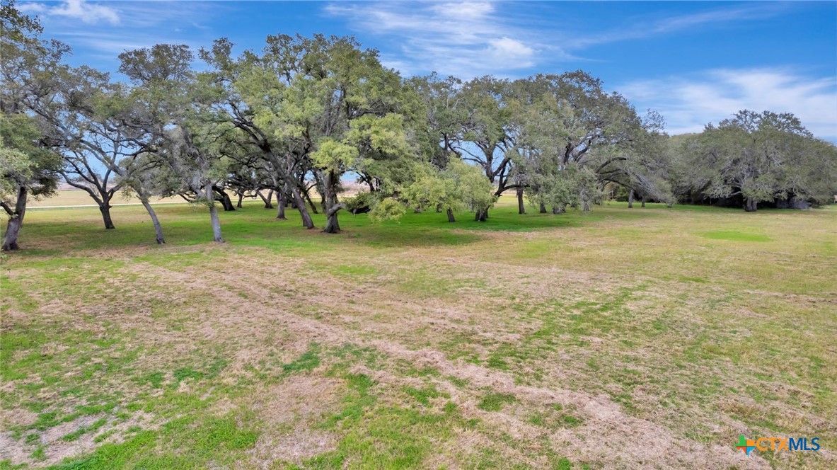 4536 S Fm 234 Property Photo 3