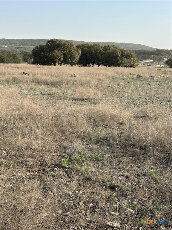 Tbd Cr 1320 Property Photo 11