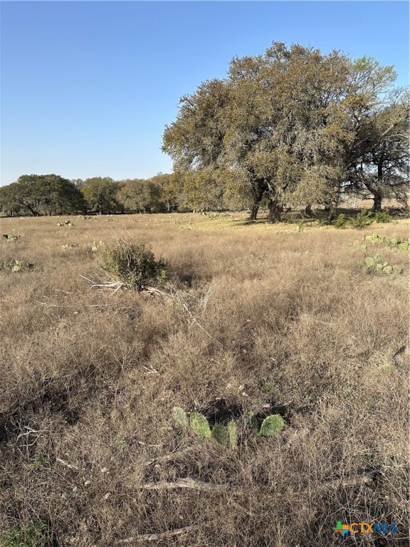 Tbd Cr 1320 Property Photo 16