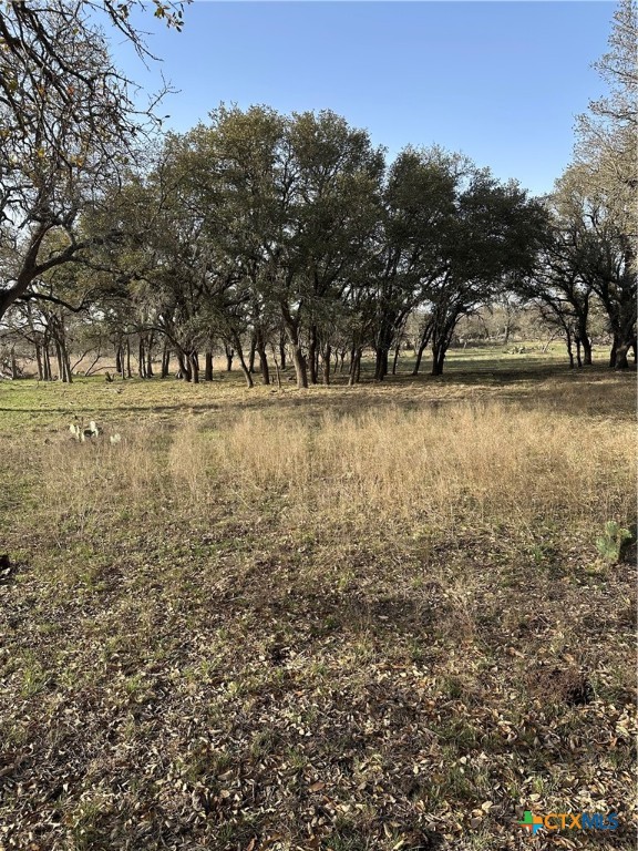 Tbd Cr 1320 Property Photo 20