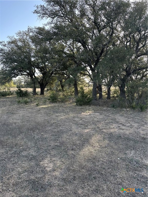 Tbd Cr 1320 Property Photo 21