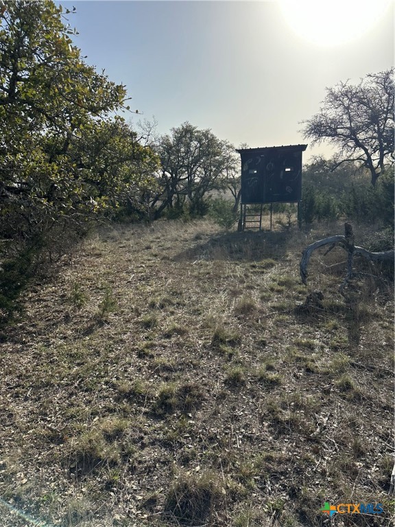 Tbd Cr 1320 Property Photo 26