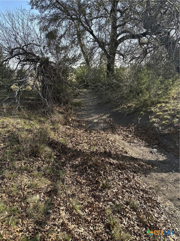 Tbd Cr 1320 Property Photo 27