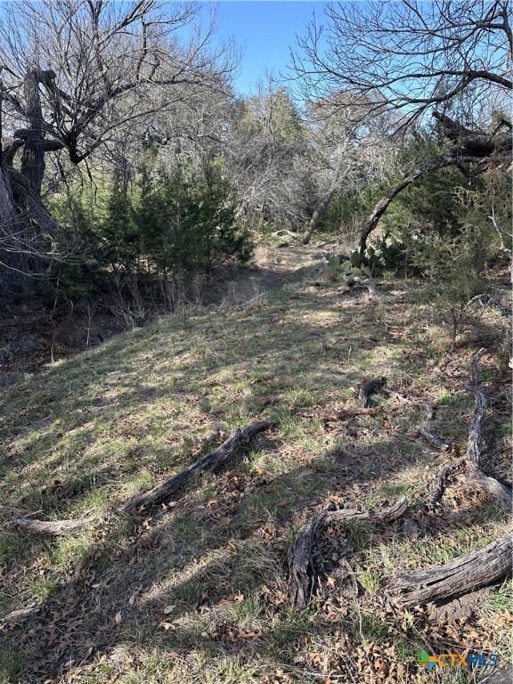 Tbd Cr 1320 Property Photo 28