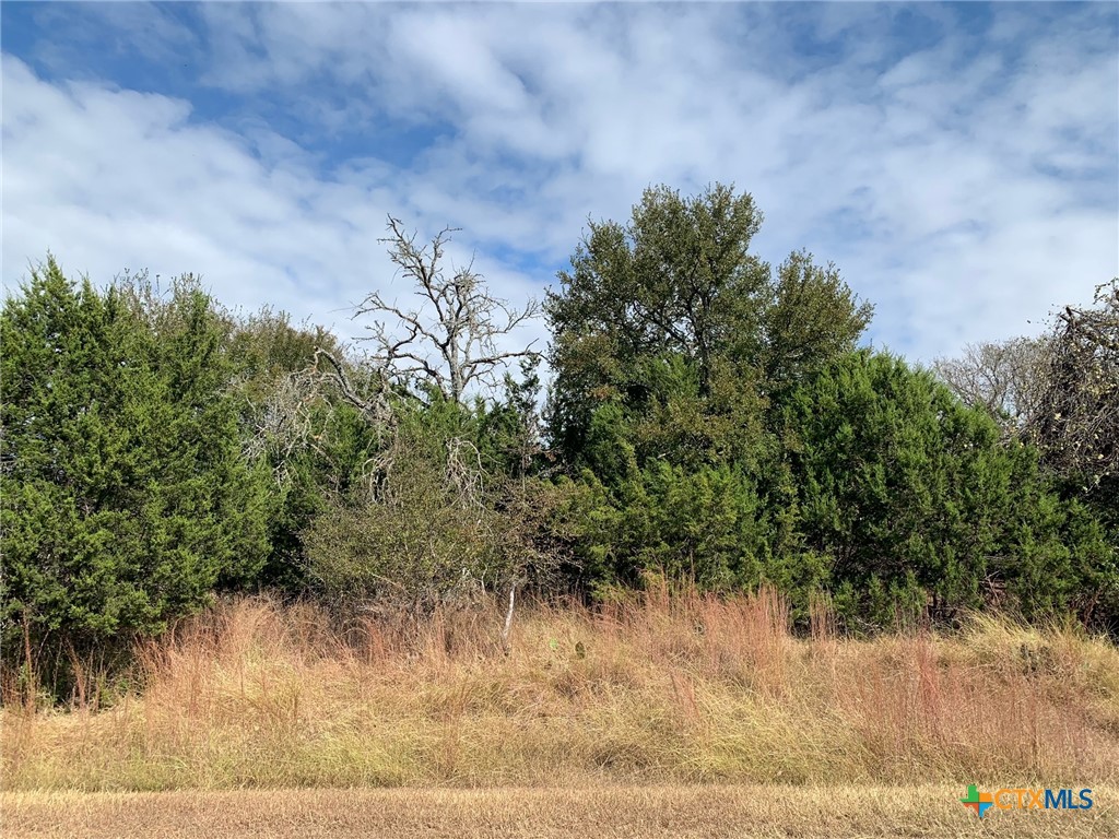 Tbd (id 319591) Cheyenne Pass Property Photo 15