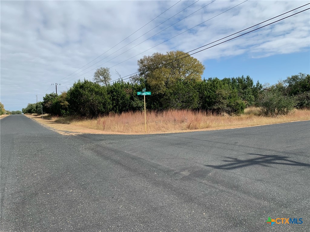 Tbd (id 319590) Cheyenne Pass Property Photo 5