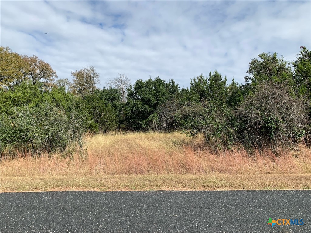 Tbd (id 319590) Cheyenne Pass Property Photo 7