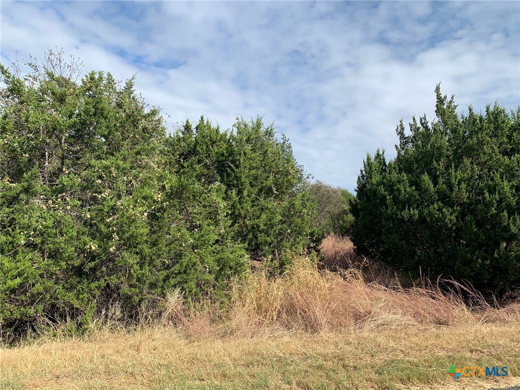 Tbd (id 319590) Cheyenne Pass Property Photo 10