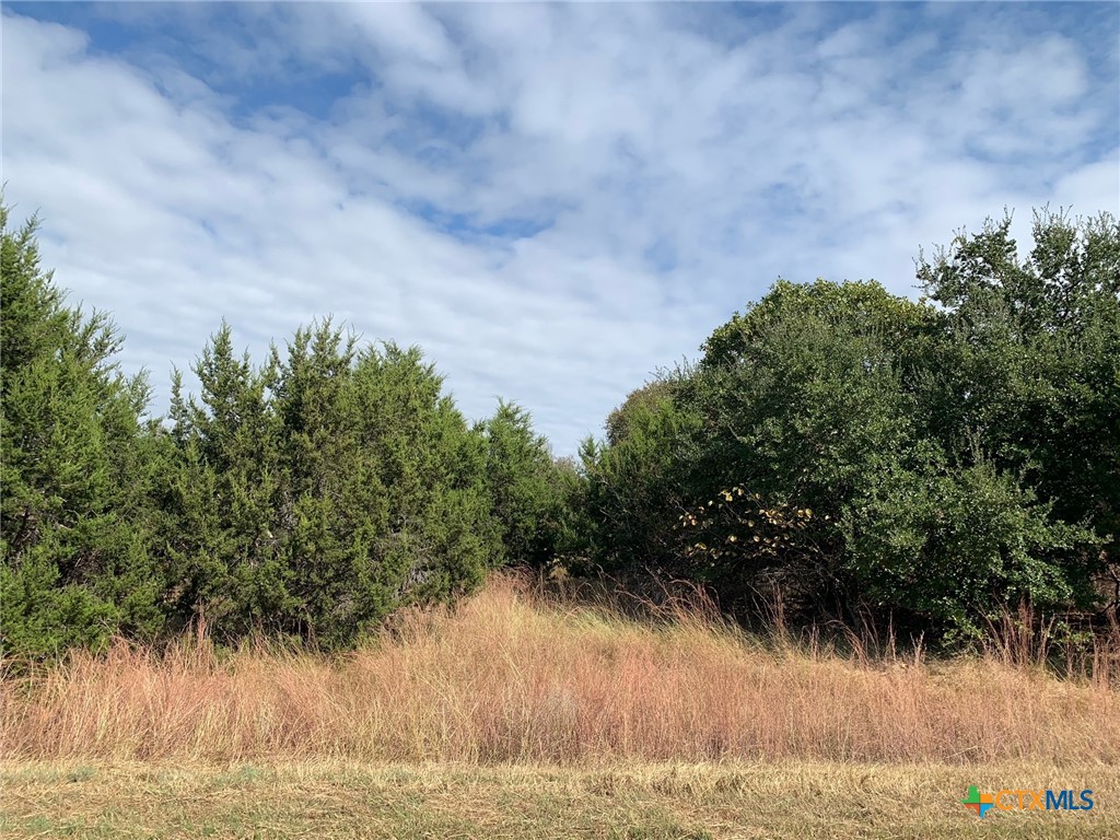 Tbd (id 319590) Cheyenne Pass Property Photo 12