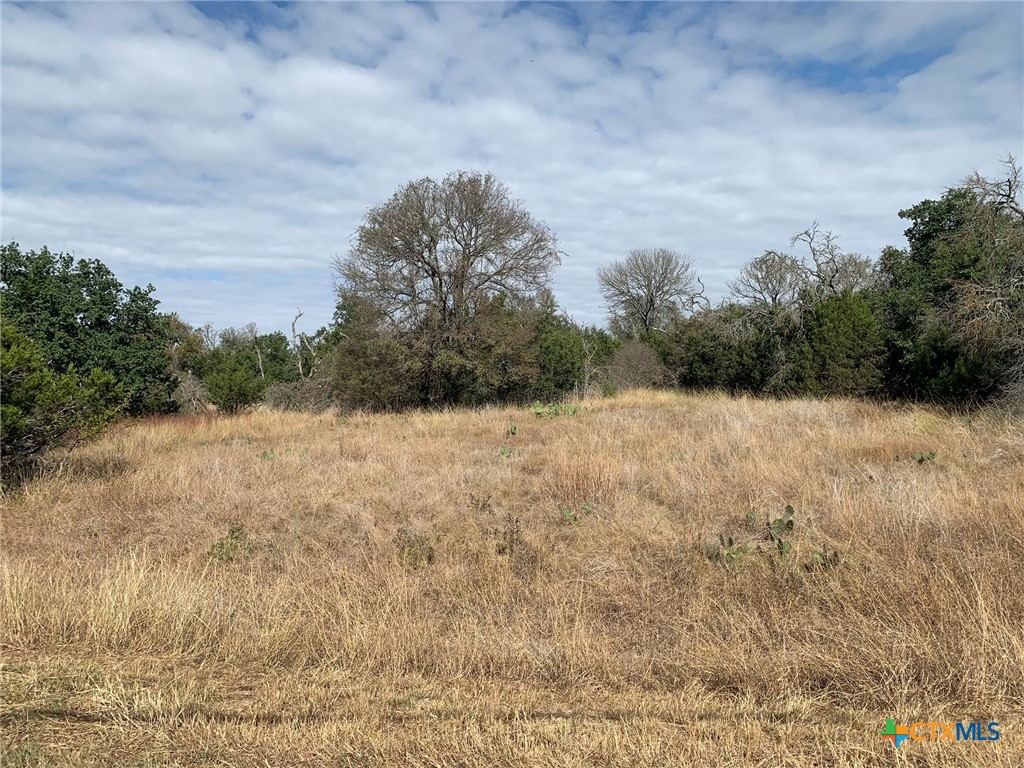 Tbd (id 319590) Cheyenne Pass Property Photo 15