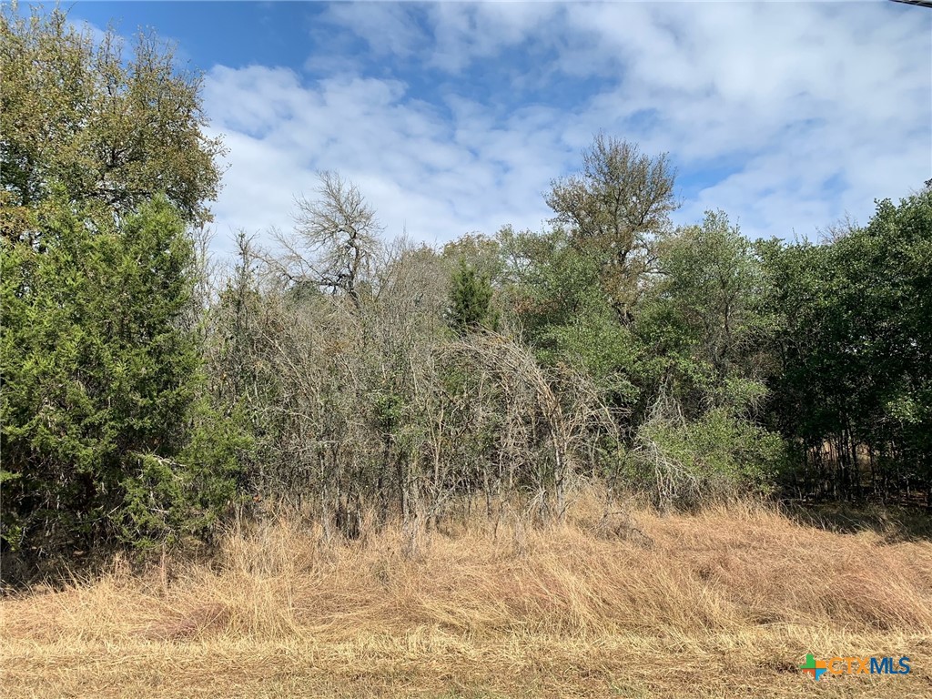 Tbd (id 319590) Cheyenne Pass Property Photo 17