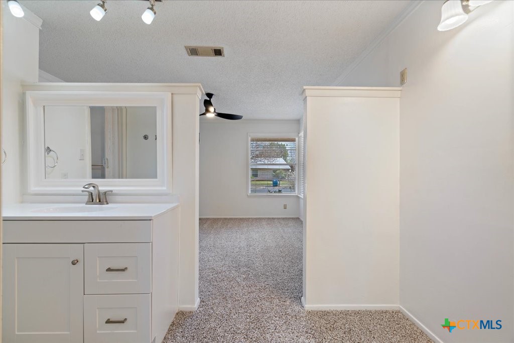 12306 Hickorystick Cove Property Photo 11