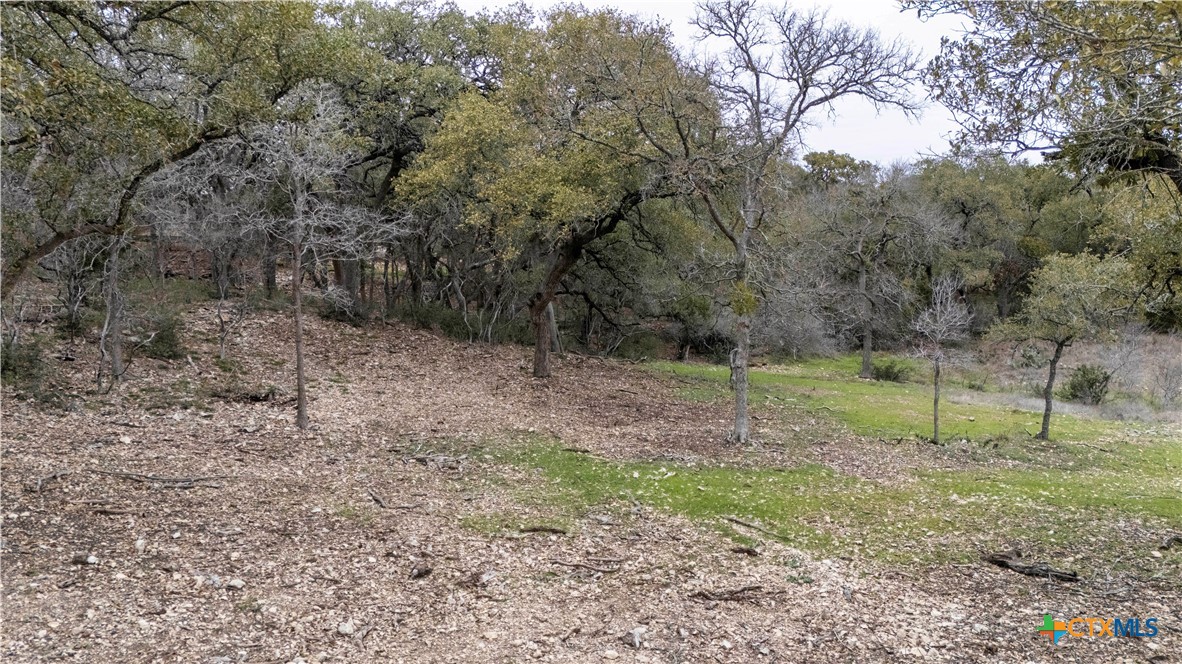 2209 Deer Run Ridge Property Photo 2