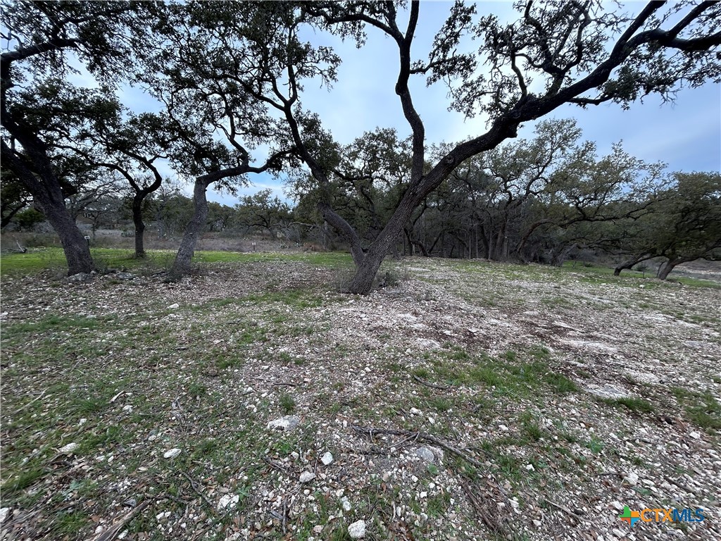2209 Deer Run Ridge Property Photo 4