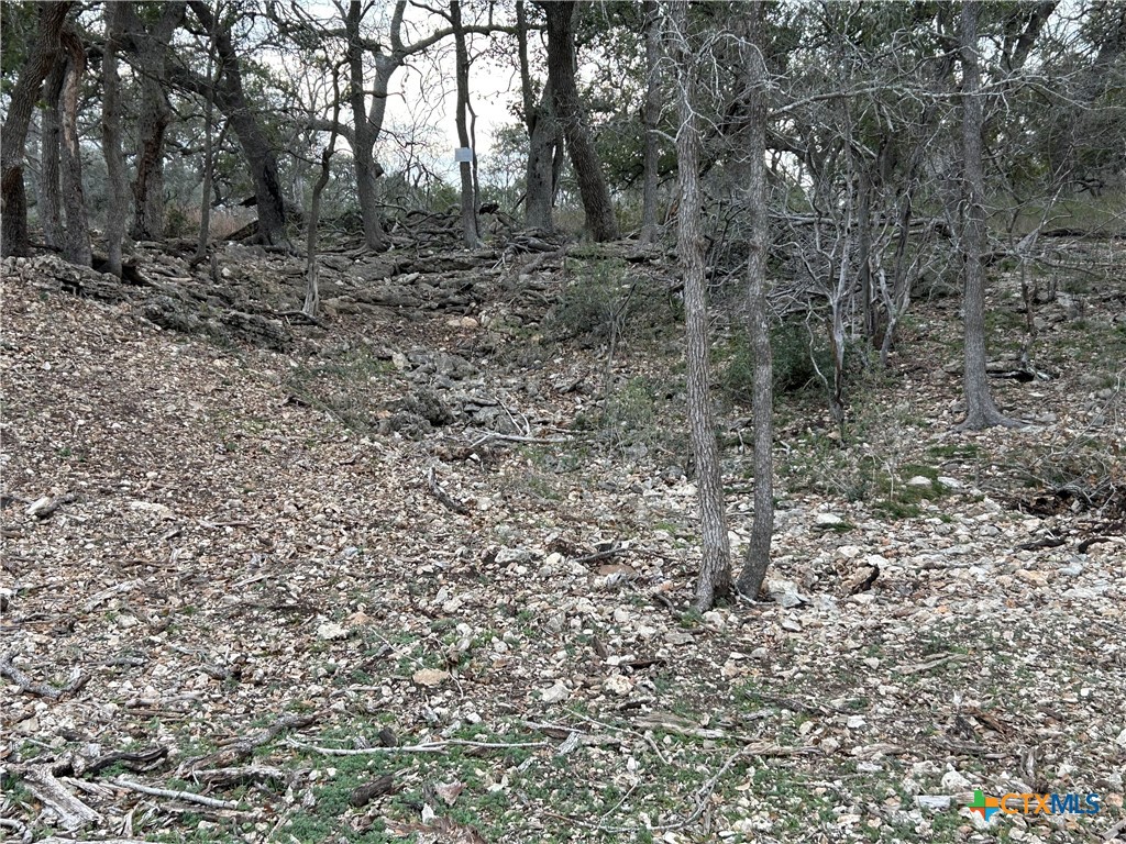 2209 Deer Run Ridge Property Photo 5