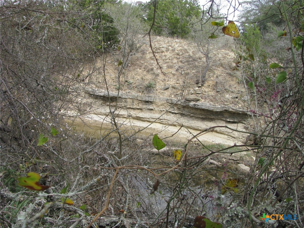 135 Acres Harmon Road Property Photo 16