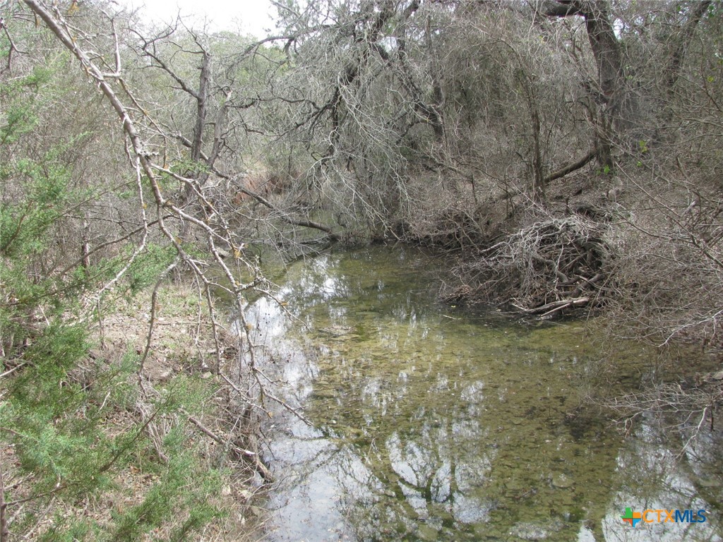 135 Acres Harmon Road Property Photo 17
