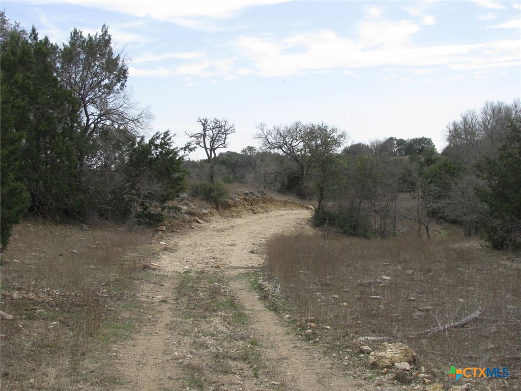 135 Acres Harmon Road Property Photo 20