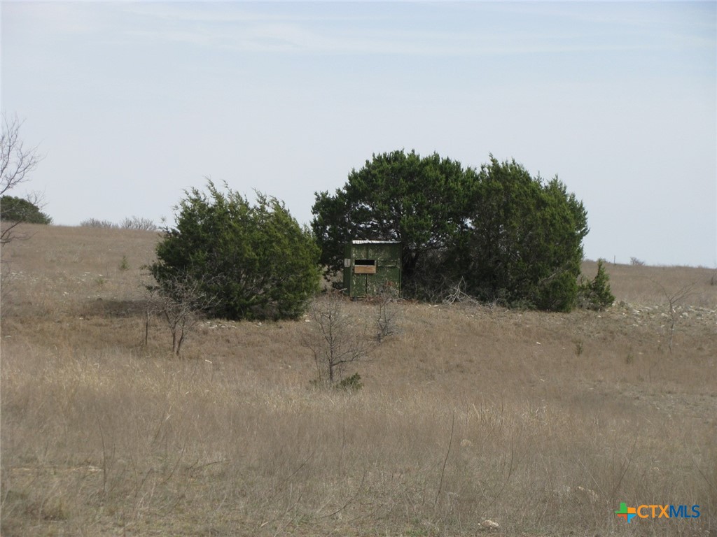135 Acres Harmon Road Property Photo 27