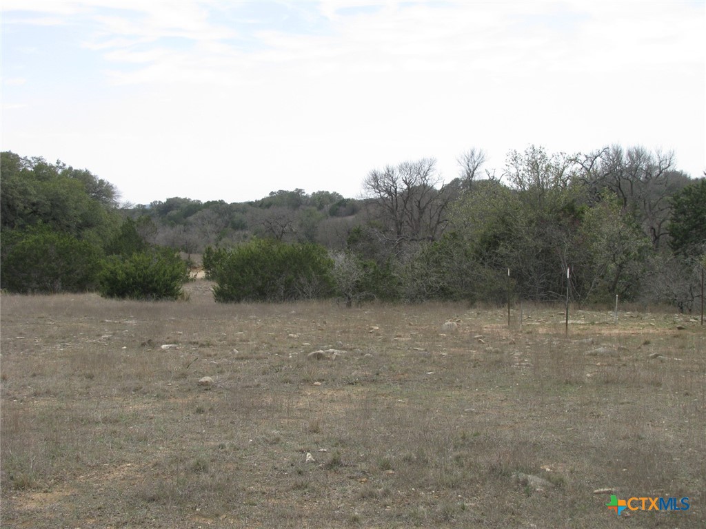 135 Acres Harmon Road Property Photo 36