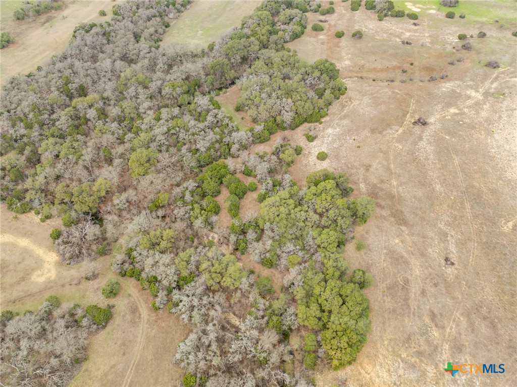 48 Acres Tbd Harmon Road Property Photo 9