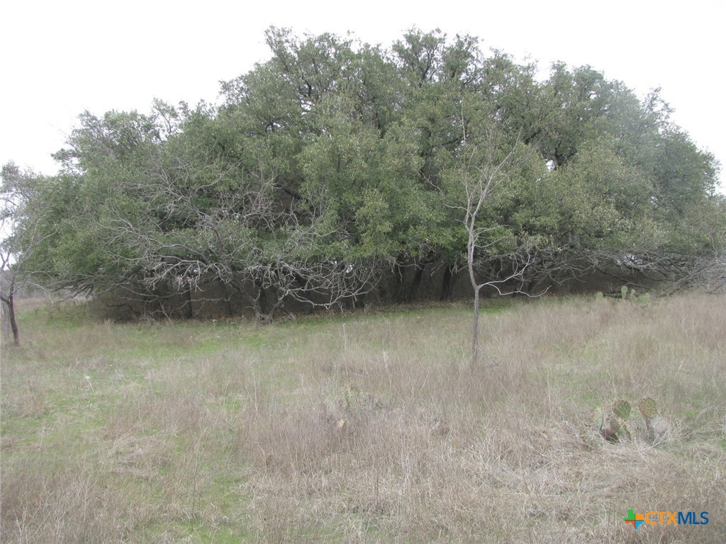 48 Acres Tbd Harmon Road Property Photo 13