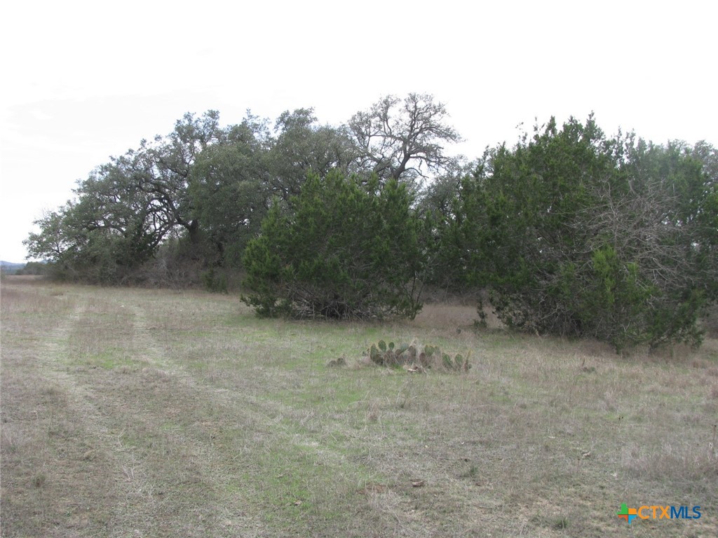 48 Acres Tbd Harmon Road Property Photo 16