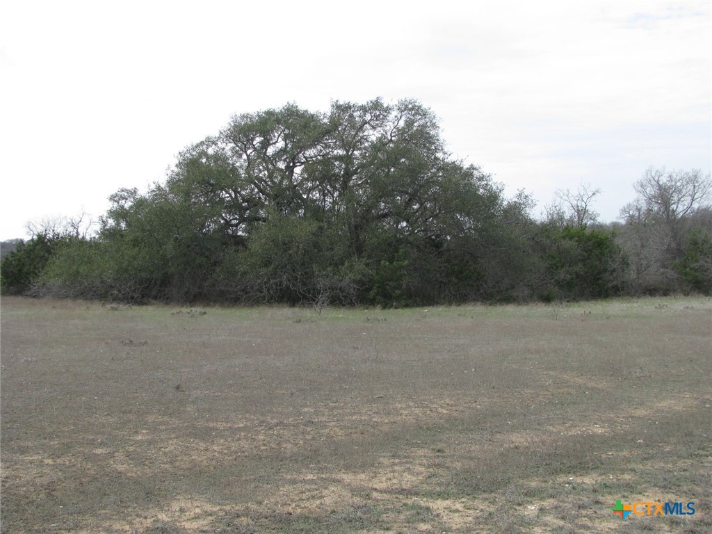 48 Acres Tbd Harmon Road Property Photo 19