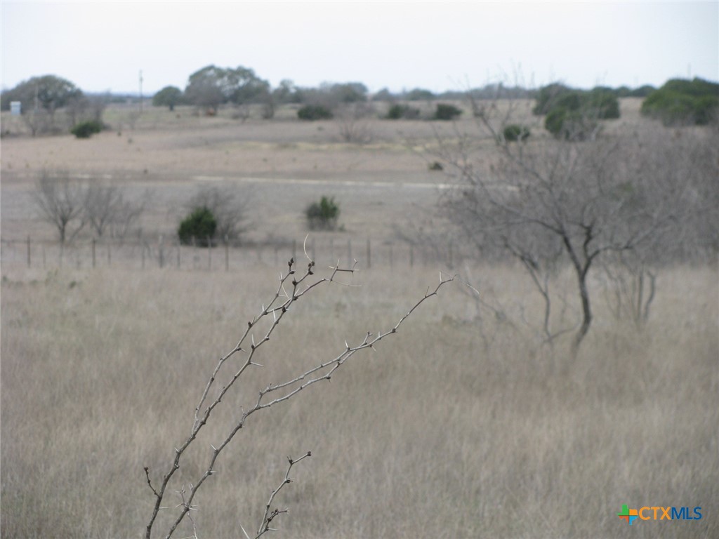 48 Acres Tbd Harmon Road Property Photo 22