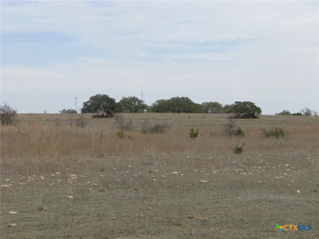 48 Acres Tbd Harmon Road Property Photo 24
